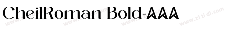 CheilRoman Bold字体转换